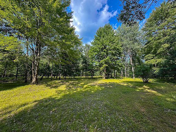 5th image of 10013 E Beal City Rd