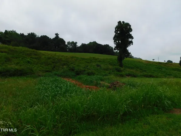 0 Mount Carmel Rd, Mosheim, TN 37818