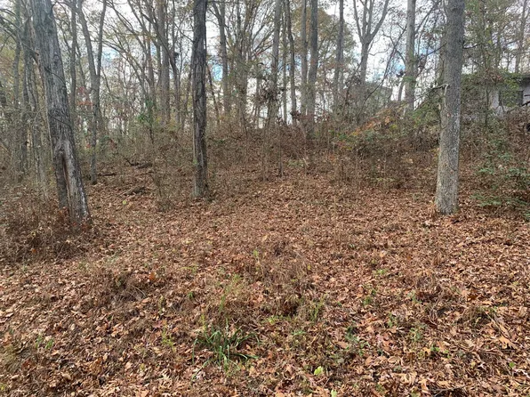 160 Trailer Rd Lot 123, Springville, TN 38256