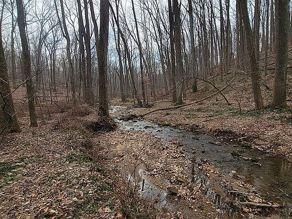 5th image of 16 Holly Branch Ct