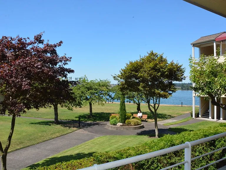 View from covered patio