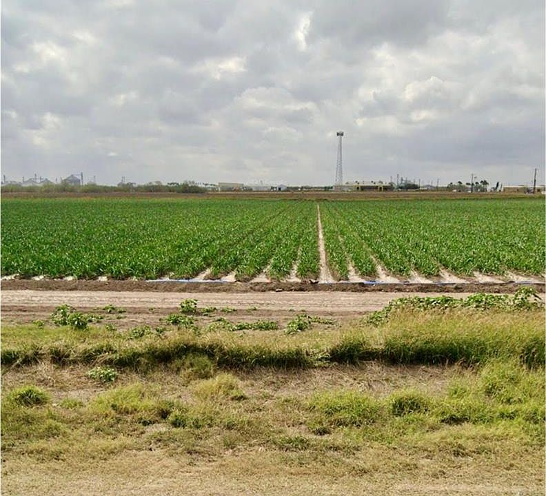 2nd image of S Military Rd SE