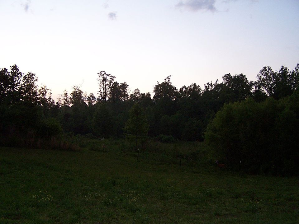 Back Area of Lot- more pics to come