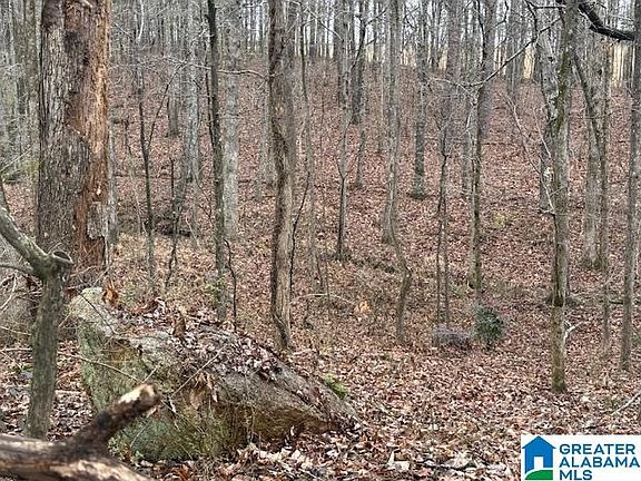 4th image of 2611 Oaks Chapel Rd