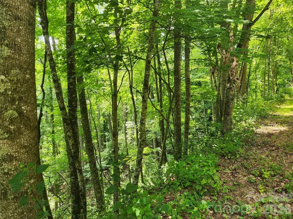 0 Greenridge Rd, Weaverville, NC 28787