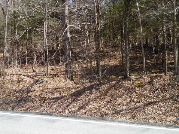 Gulf Road, Callicoon Center, NY 12724