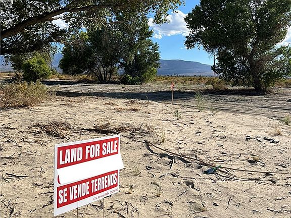 5th image of 147 E Avenue R Lot 10