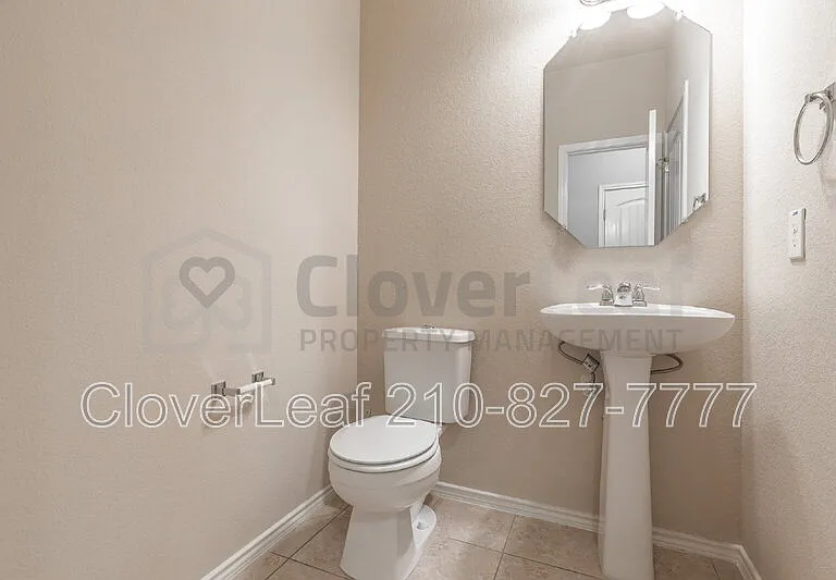 3734 Ox Eye Daisy — Photo 36
