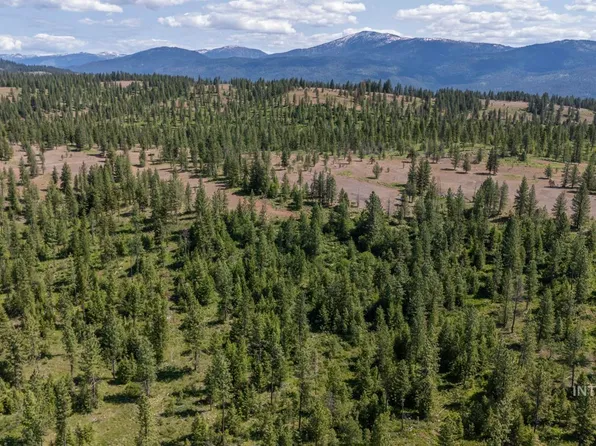 Tbd1 Us 95 New, New Meadows, ID 83654