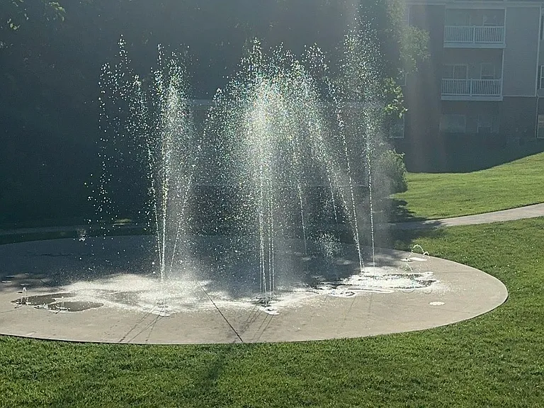 Echo at Forest View — Photo 16