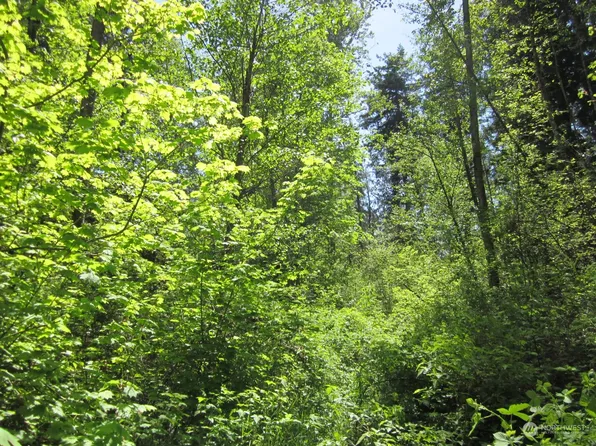 20633 SE 388th Street, Enumclaw, WA 98022