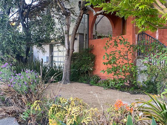 Front sunny yard
 west-facing