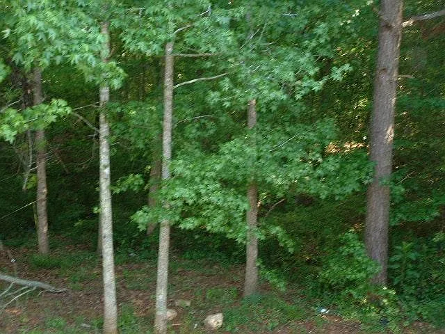 248 Whitney Ln — Photo 5