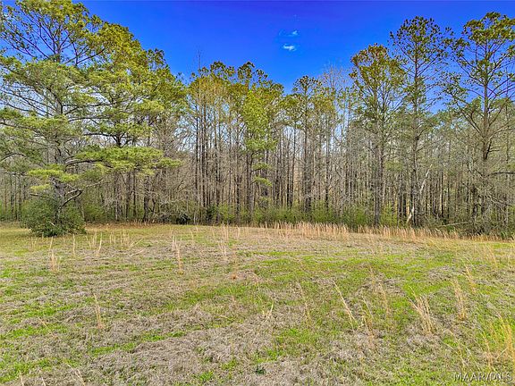 4th image of 1232 Ridge Trl