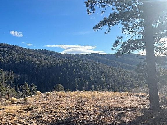 2nd image of Forbes Rd