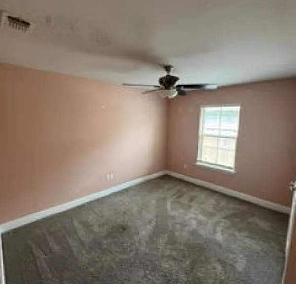 18194 Tiffany Renee Dr — Photo 10