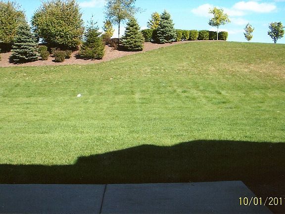 back yard
