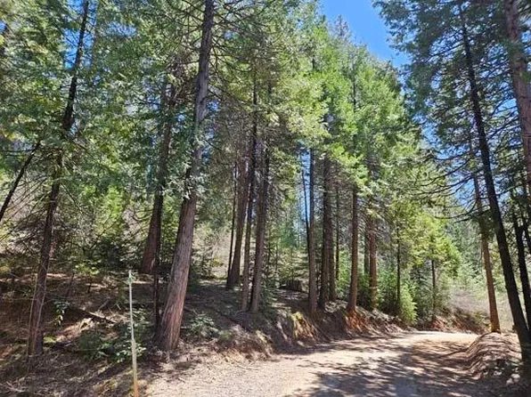 1 Indian Diggins Rd, Somerset, CA 95684