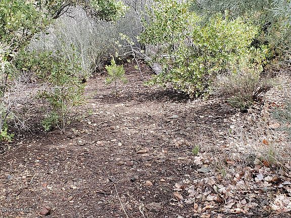 4th image of 514 S Bradshaw Dr