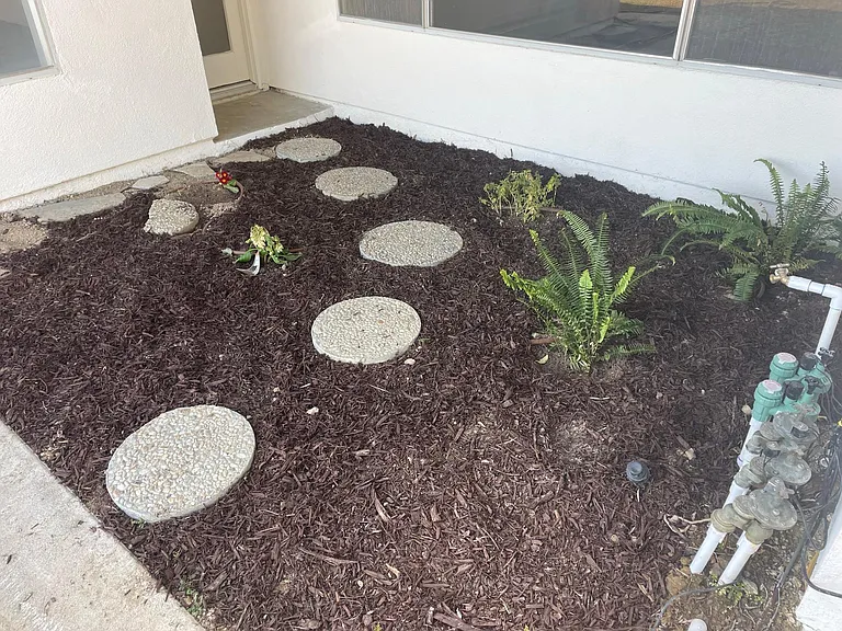 Shade Garden