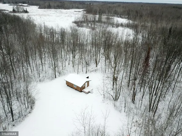 11632 Teddy Rd NW, Shevlin, MN 56676