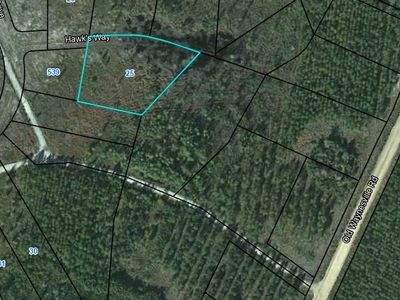 25 Hawks Way, Waynesville, GA, 31566