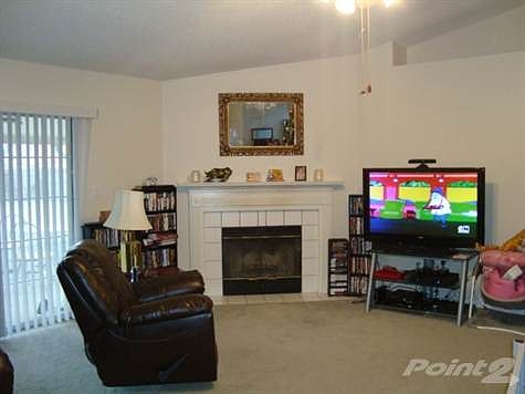 High ceiling & plant ledge, opens to covered patio