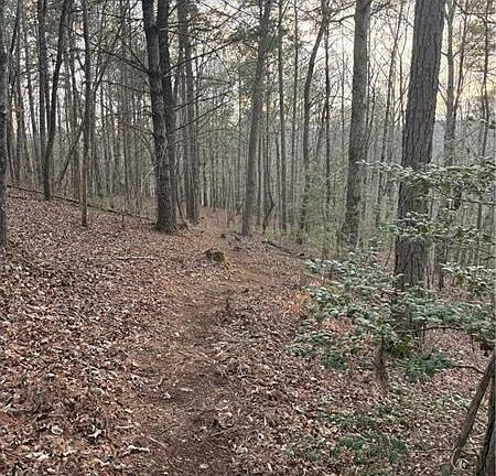5th image of 0 Shady Grove Church Rd