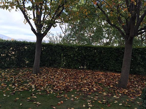 beautiful front area