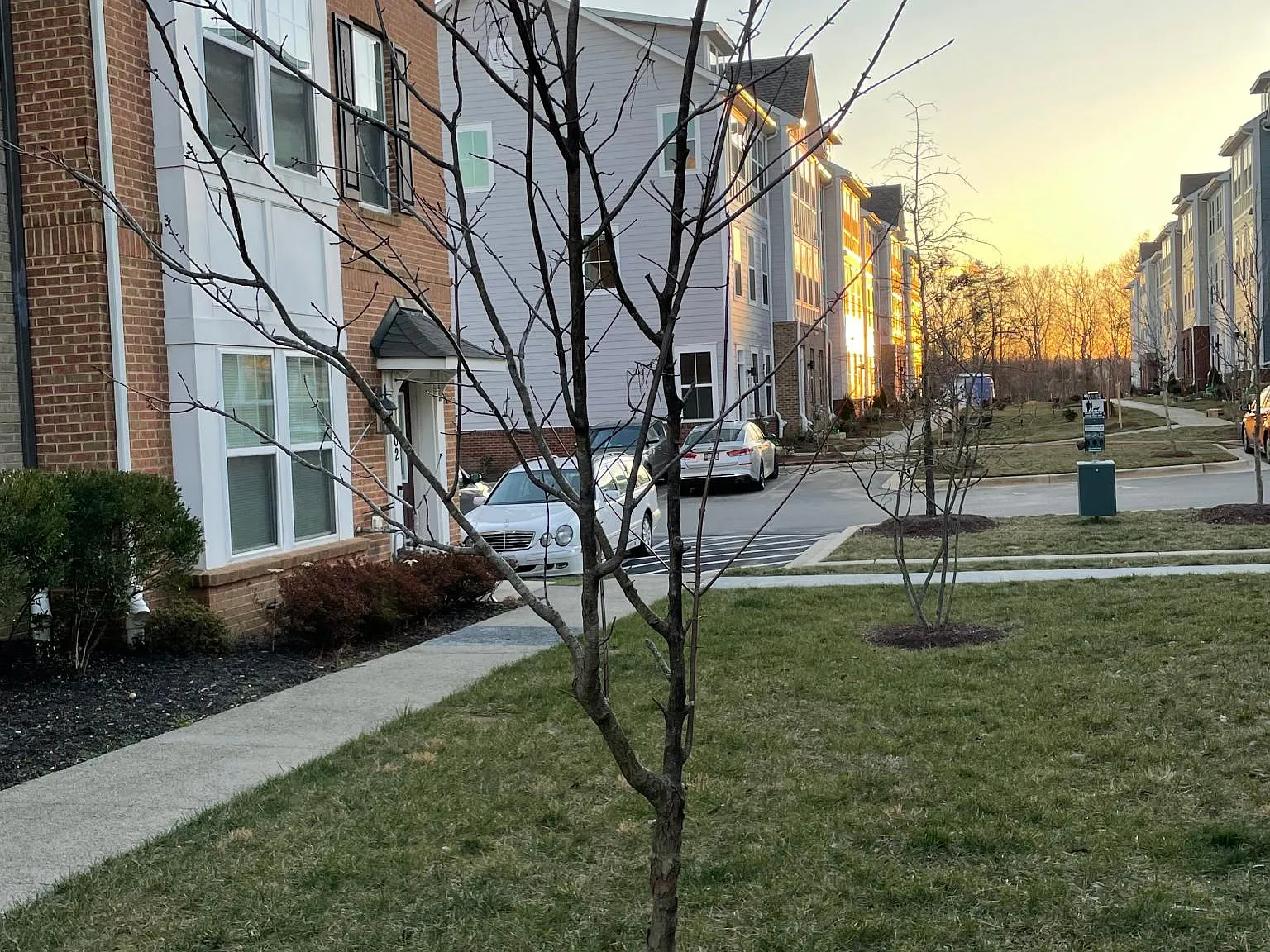 4 bed, 3.5 bath, 1957 sqft, $3,200 — Photo 3