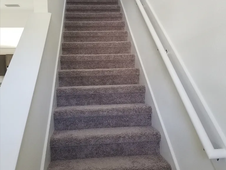 52 Beach Palm Ct — Photo 9