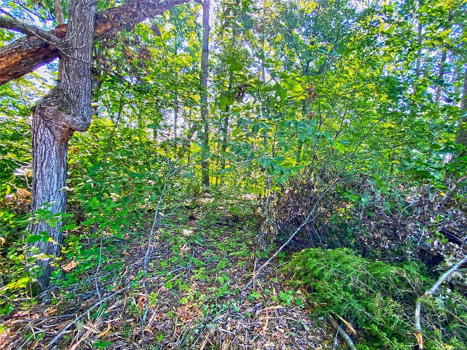 2nd image of 335 Shumard Oak Dr