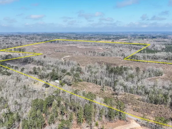 919 County Road 6628, Banks, AL 36005