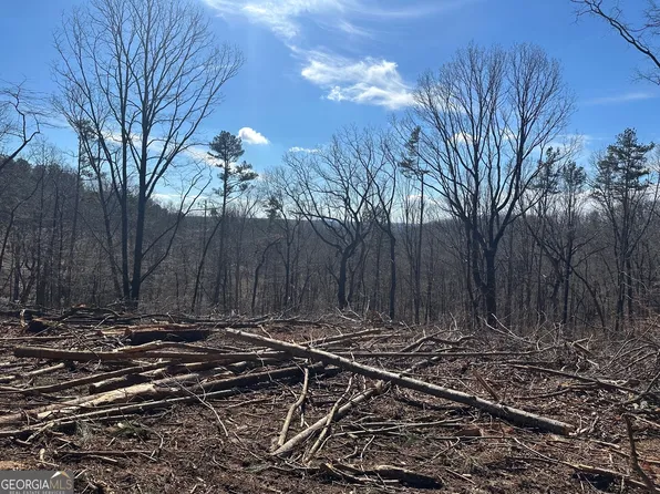 27.68 Chapman Ridge Ln, Dahlonega, GA 30533