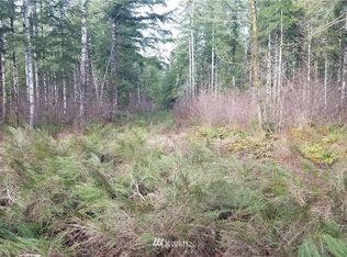 110 W 1st St, Elma, WA 98541