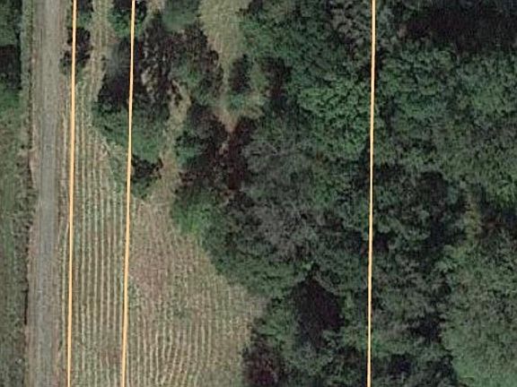 3rd image of 127 Laramie Trl