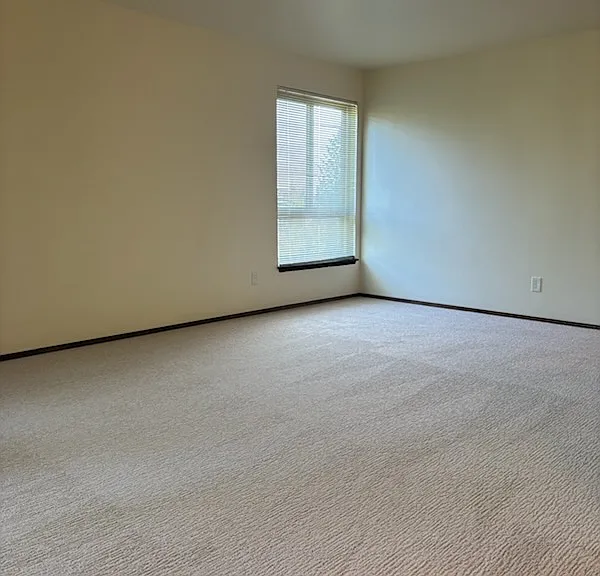 living room side window