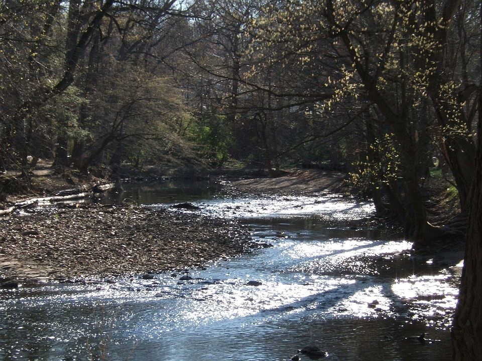 Park View -Tookany Creek