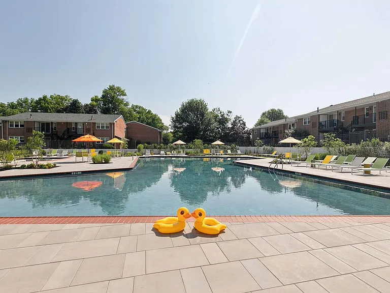 Take a dip in the refreshing pool