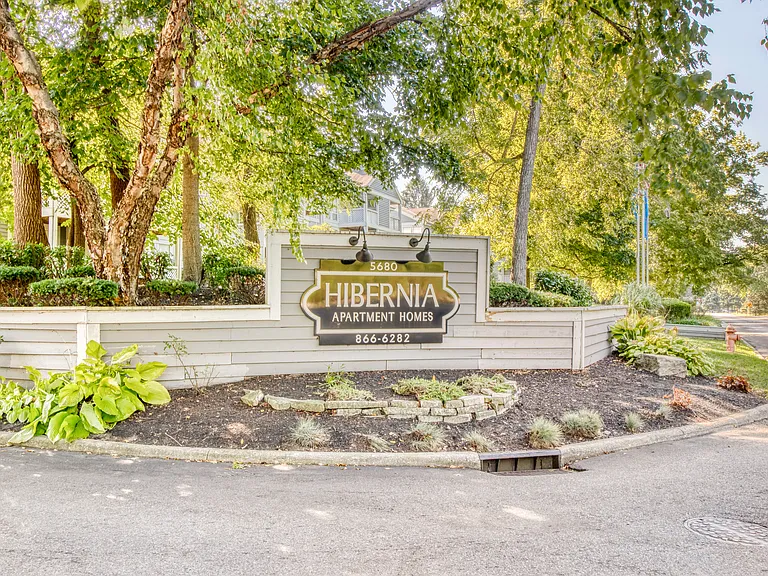 HIBERNIA — Photo 7