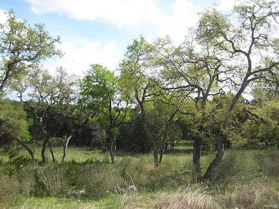 Nice Oak Trees Everywheree