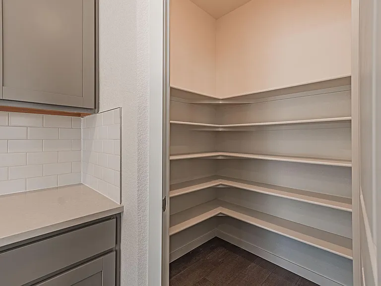 Walk-in pantry (2)