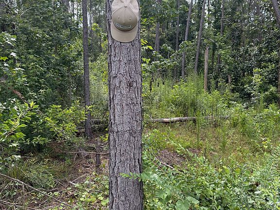 Photo Jun 26 2026 9 57 19 Am