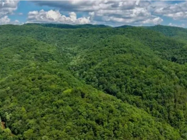 RT 7 Nr Creamery, Wayside, WV 24910