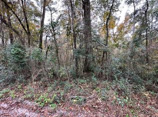 14th Path Lot 29, Live Oak, FL 32060