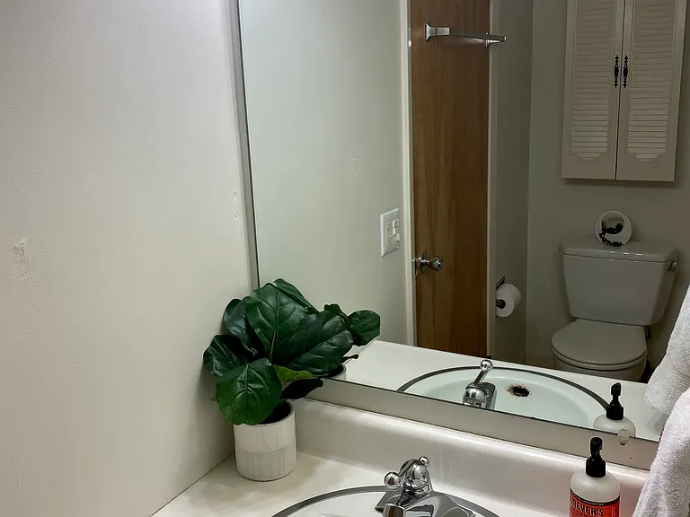full guest bathroom