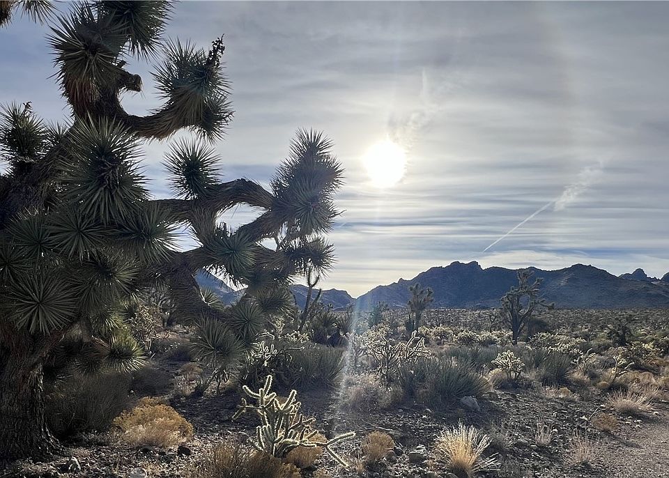 2nd image of 000 N PALO VERDE Drive