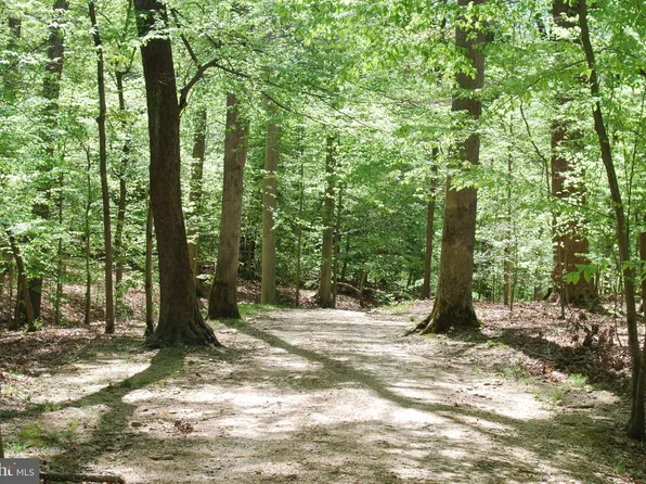 PARCEL 45 Bryan Point Rd, Accokeek, MD 20607