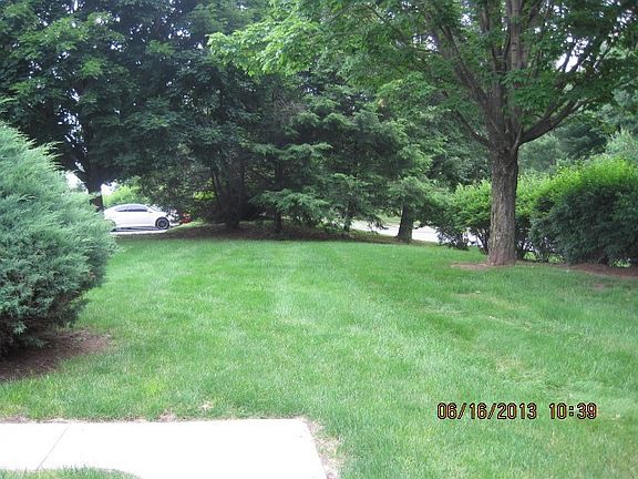 lawn area