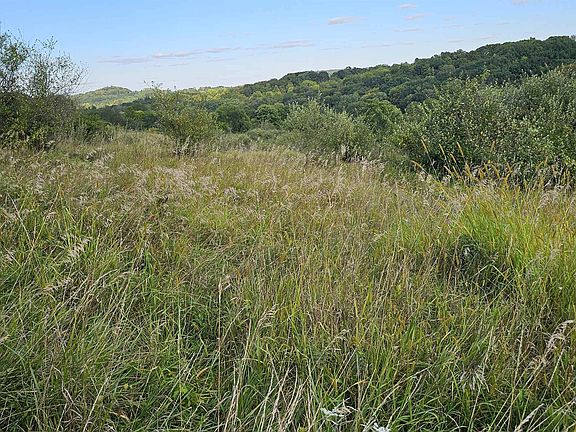 5th image of LOT 108 White Flagg Ln